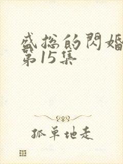 盛总的闪婚娇妻第15集