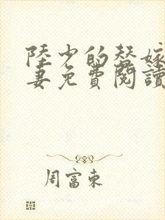 陆少的替嫁小娇妻免费阅读全文