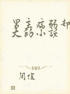 男主病弱却很强大的小说