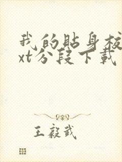 我的贴身校花txt分段下载