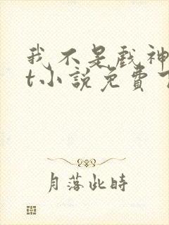 我不是戏神txt小说免费下载