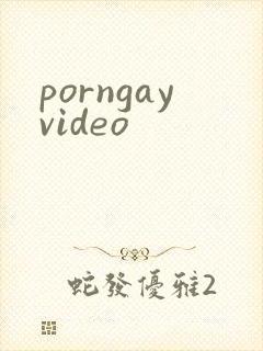 porngayvideo