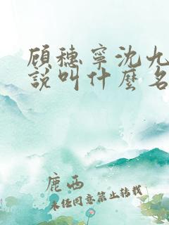 顾穗宁沈九思小说叫什么名字