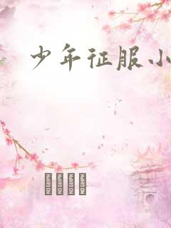 少年征服小说