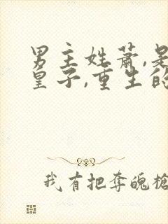 男主姓萧,是三皇子,重生的小说