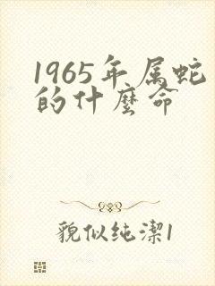 1965年属蛇的什么命