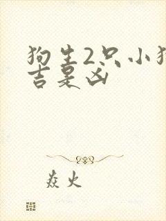 狗生2只小狗是吉是凶
