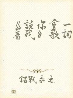 《说你会一直爱着我》歌词