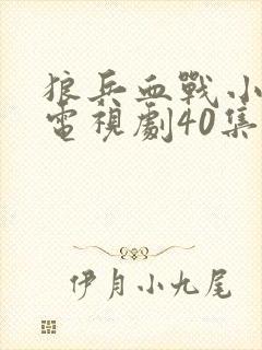 狼兵血战小鬼子电视剧40集