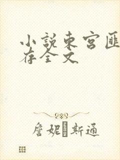 小说东宫匪我思存全文