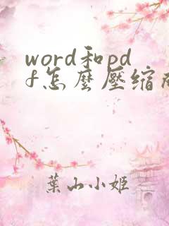 word和pdf怎么压缩成一个文件