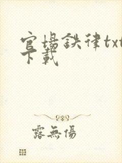 官场铁律txt下载