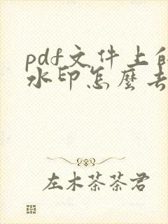 pdf文件上的水印怎么去除