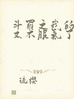 斗罗之我的系统又不服气了小说版