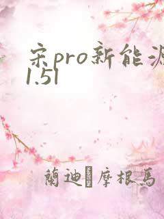 宋pro新能源1.5l