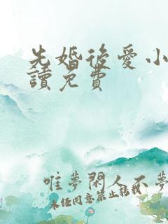 先婚后爱小说阅读免费