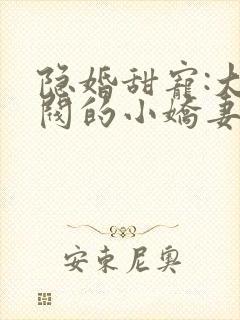 隐婚甜宠:大财阀的小娇妻