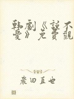 韩剧《说不出的爱》免费观看