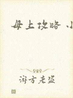 母上攻略 小说