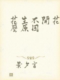 花生不开花是什么原因