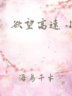 欲望高速 小说
