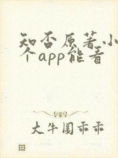 知否原著小说哪个app能看