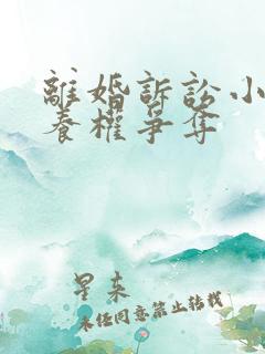 离婚诉讼小孩抚养权争夺