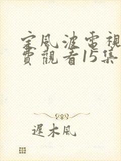 定风波电视剧免费观看15集
