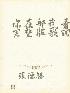 你在哪我看不见完整版歌词