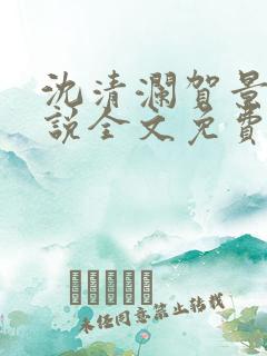 沈清澜贺景承小说全文免费阅读