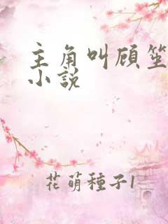 主角叫顾笙歌的小说