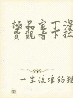 极品家丁漫画免费观看下拉式快看