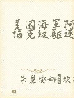 美国海军阿利·伯克级驱逐舰