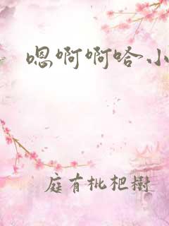 嗯啊啊哈小说
