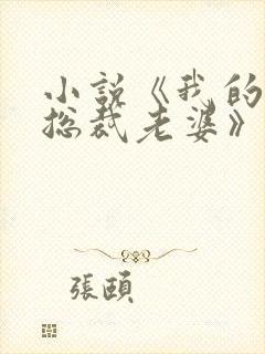 小说《我的冰山总裁老婆》
