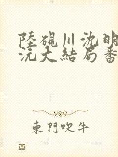 陆砚川沈明珠宋沅大结局番外篇