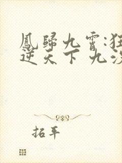 凤归九霄:狂妃逆天下 九汐公子
