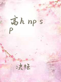 高h np sp