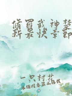 修罗武神楚枫更新最快章节
