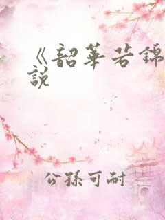 《韶华若锦》小说