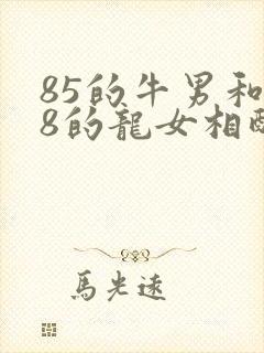 85的牛男和88的龙女相配吗婚姻如何