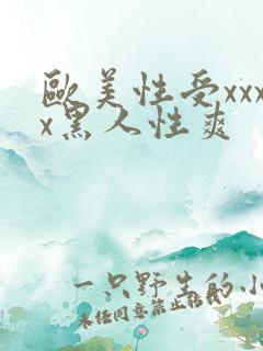 欧美性受xxxx黑人性爽