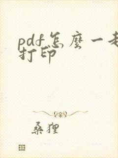 pdf怎么一起打印