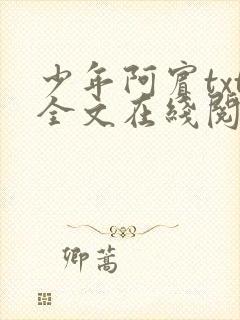 少年阿宾txt全文在线阅读