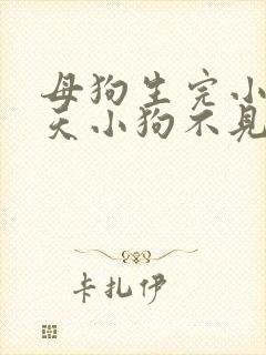 母狗生完小狗二天小狗不见了怎么办