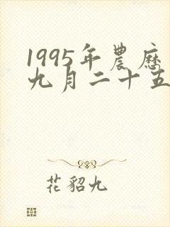 1995年农历九月二十五出生的八字