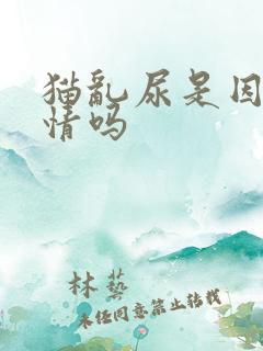 猫乱尿是因为发情吗
