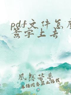 pdf文件怎么签字上去