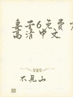 妻子6免费完整高清中文