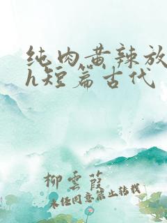 纯肉黄辣放荡高h短篇古代